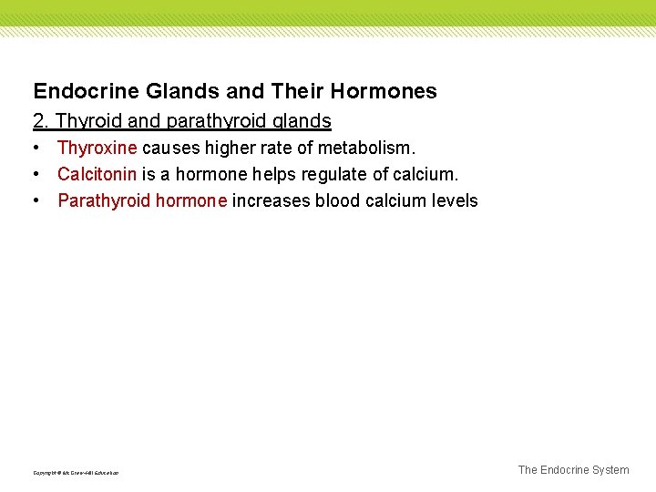 Endocrine Glands and Their Hormones 2. Thyroid and parathyroid glands • Thyroxine causes higher