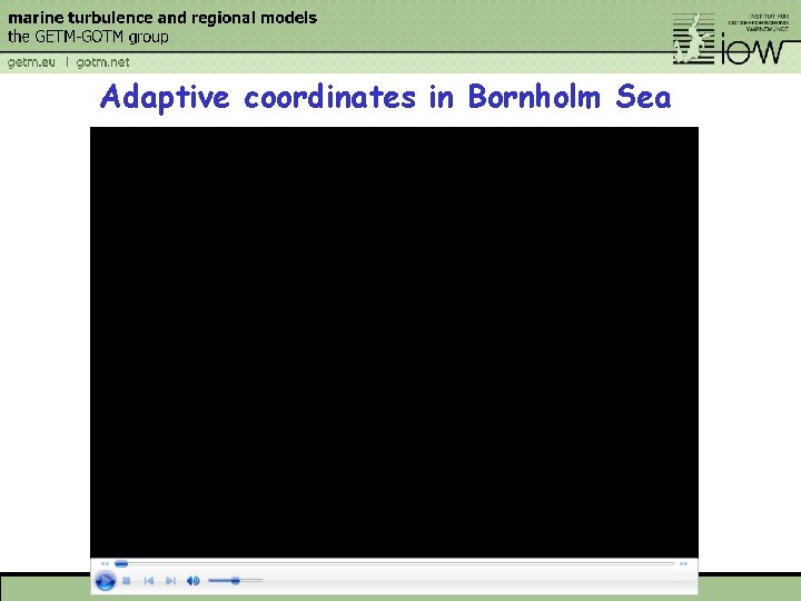 Adaptive coordinates in Bornholm Sea 