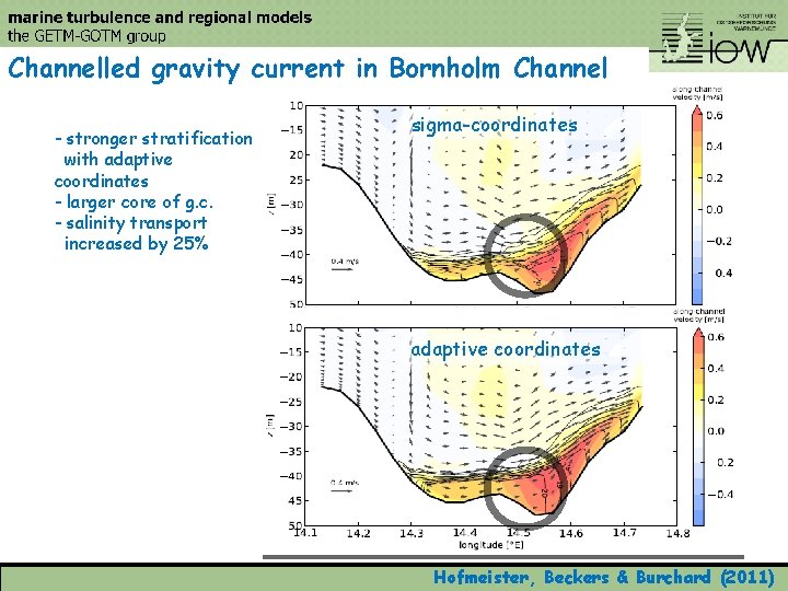 Channelled gravity current in Bornholm Channel - stronger stratification with adaptive coordinates - larger