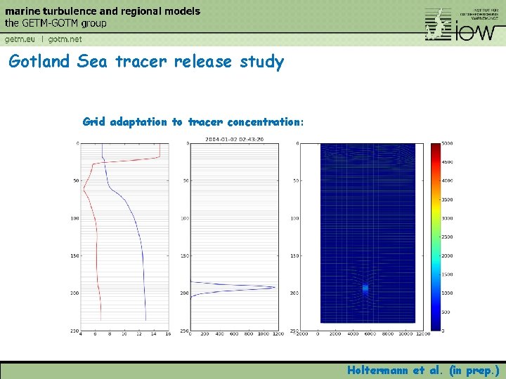 Gotland Sea tracer release study Grid adaptation to tracer concentration: Holtermann et al. (in