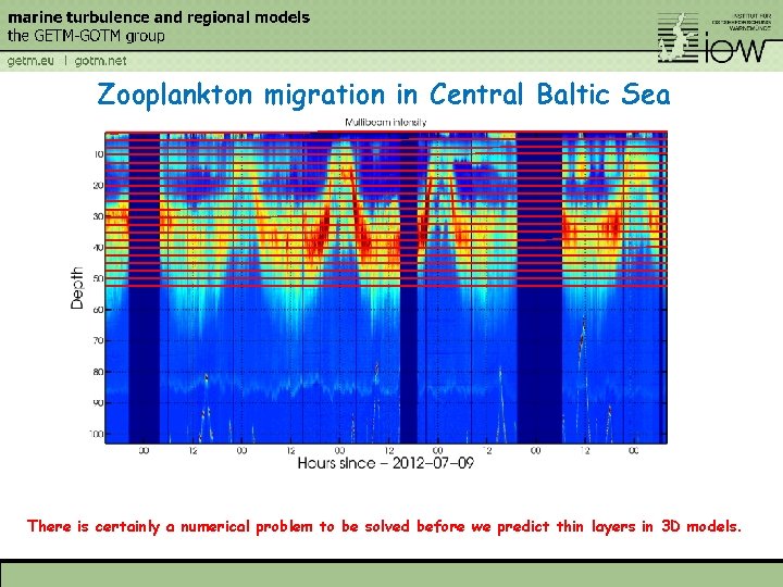 Zooplankton migration in Central Baltic Sea There is certainly a numerical problem to be