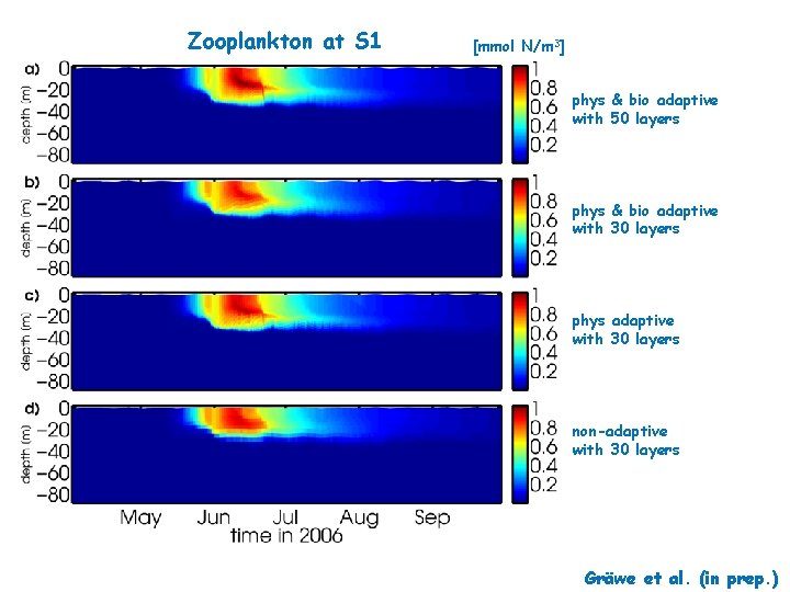 Zooplankton at S 1 [mmol N/m 3] phys & bio adaptive with 50 layers