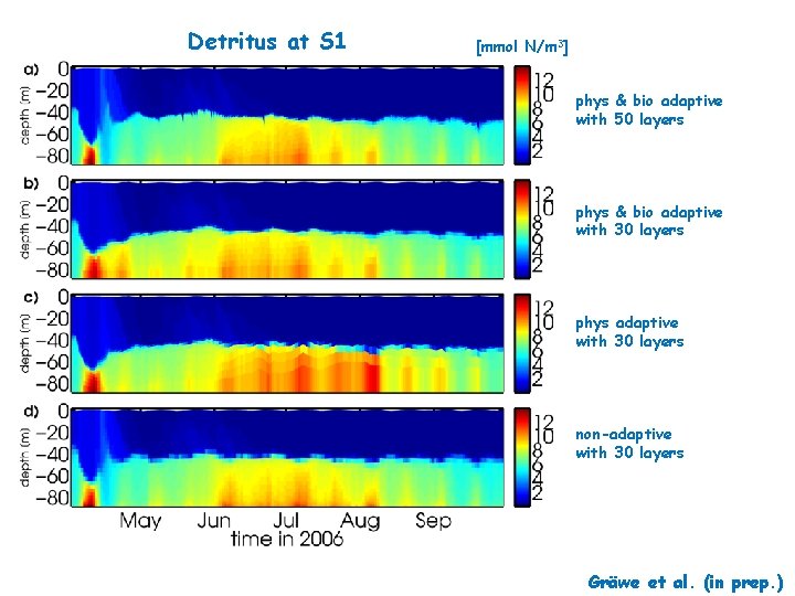 Detritus at S 1 [mmol N/m 3] phys & bio adaptive with 50 layers