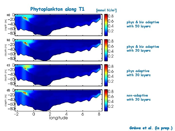 Phytoplankton along T 1 [mmol N/m 3] phys & bio adaptive with 50 layers