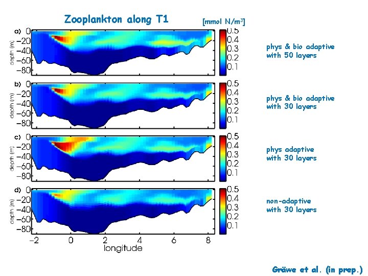 Zooplankton along T 1 [mmol N/m 3] phys & bio adaptive with 50 layers