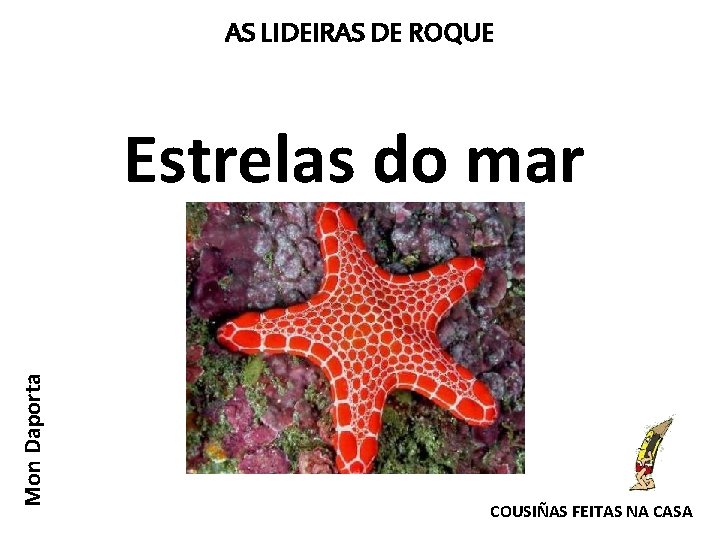 AS LIDEIRAS DE ROQUE Mon Daporta Estrelas do mar COUSIÑAS FEITAS NA CASA 