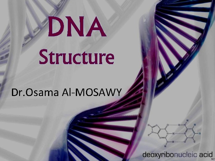 DNA Structure Dr. Osama Al-MOSAWY 