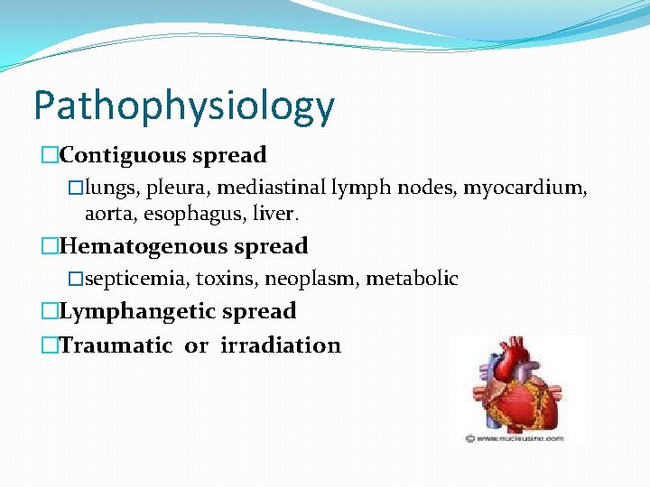 Pathophysiology �Contiguous spread �lungs, pleura, mediastinal lymph nodes, myocardium, aorta, esophagus, liver. �Hematogenous spread