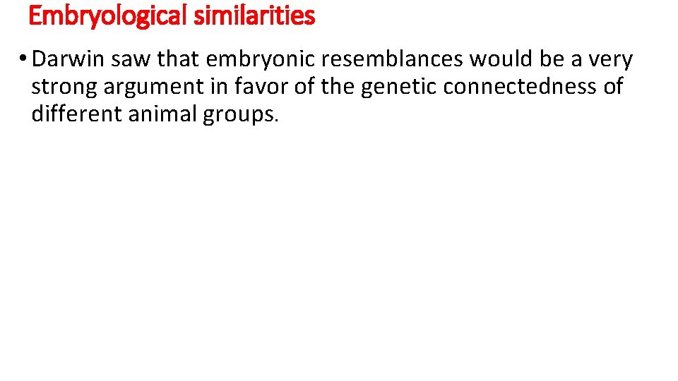 Embryological similarities • Darwin saw that embryonic resemblances would be a very strong argument