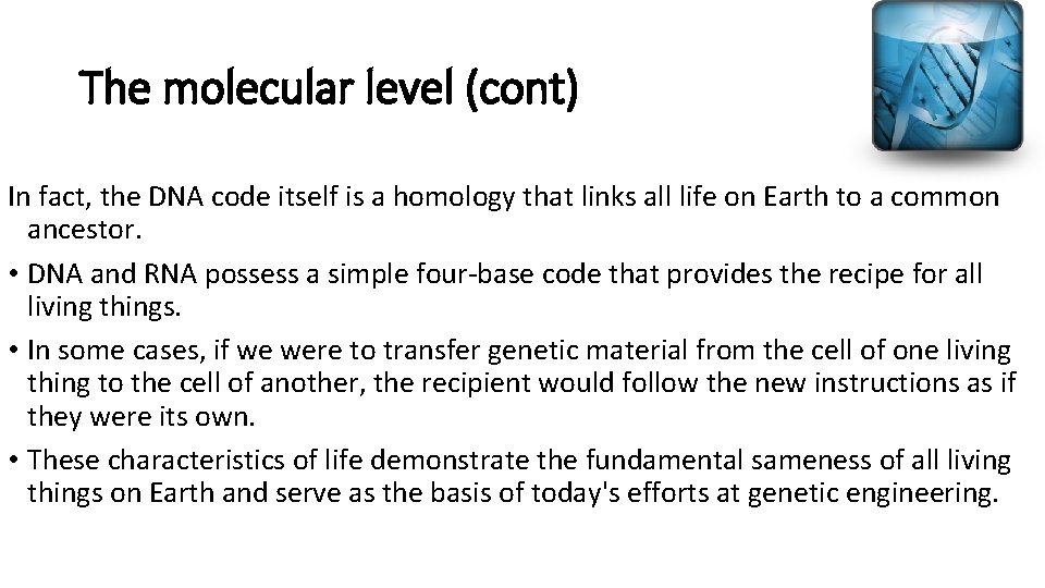 The molecular level (cont) In fact, the DNA code itself is a homology that