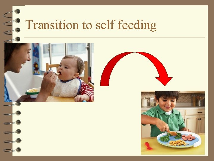 Transition to self feeding 