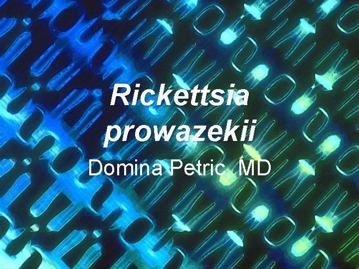 Rickettsia prowazekii Domina Petric, MD 