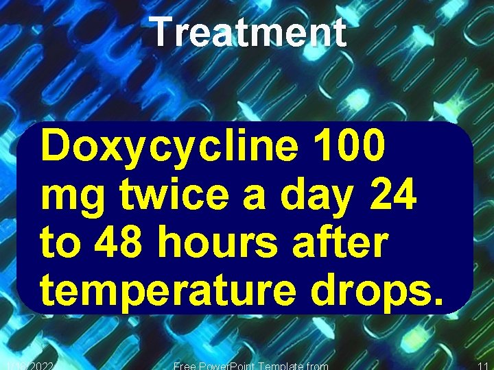 Treatment Doxycycline 100 mg twice a day 24 to 48 hours after temperature drops.