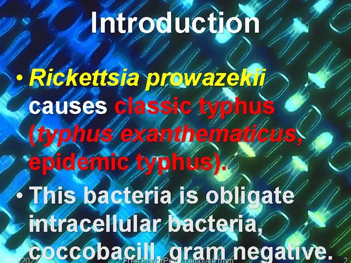 Introduction • Rickettsia prowazekii causes classic typhus (typhus exanthematicus, epidemic typhus). • This bacteria