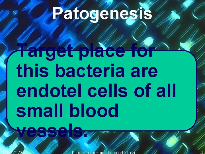 Patogenesis Target place for this bacteria are endotel cells of all small blood vessels.