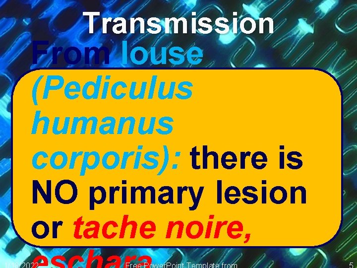 Transmission From louse (Pediculus humanus corporis): there is NO primary lesion or tache noire,