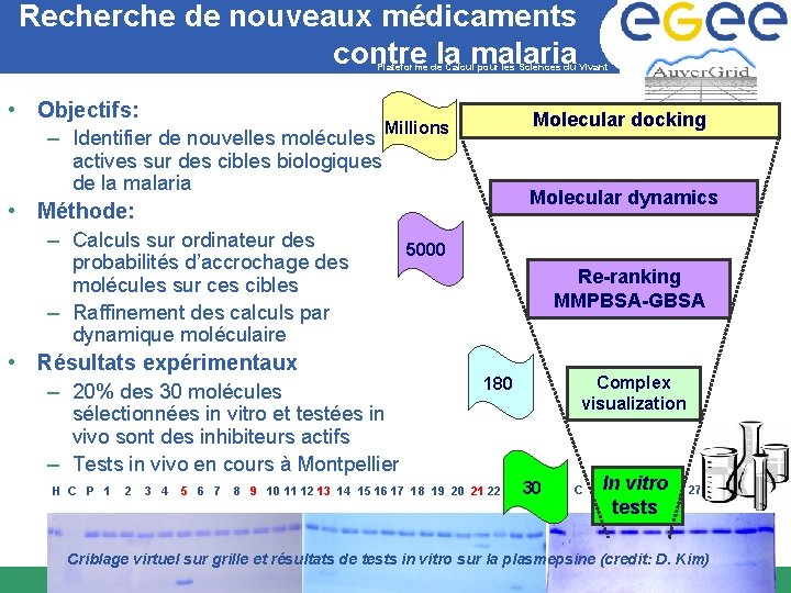 Recherche de nouveaux médicaments contre la malaria Plateforme de Calcul pour les Sciences du