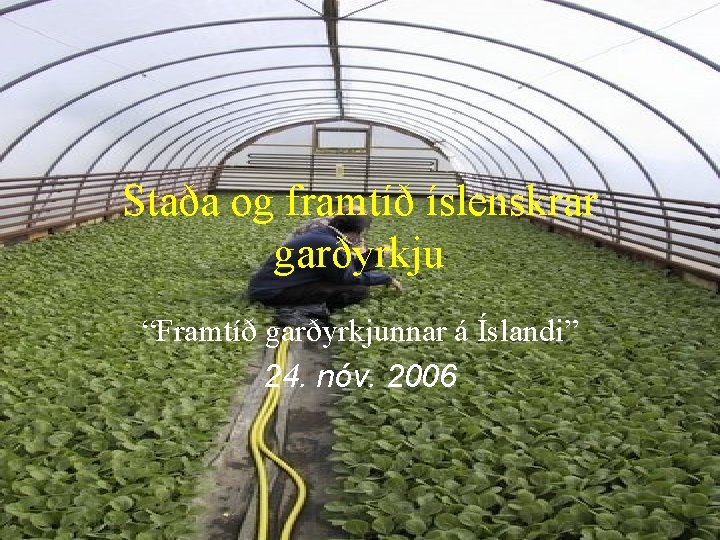 Staða og framtíð íslenskrar garðyrkju “Framtíð garðyrkjunnar á Íslandi” 24. nóv. 2006 