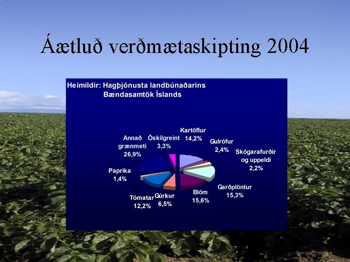 Áætluð verðmætaskipting 2004 