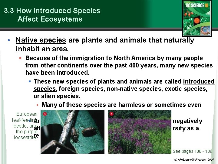 3. 3 How Introduced Species Affect Ecosystems • Native species are plants and animals