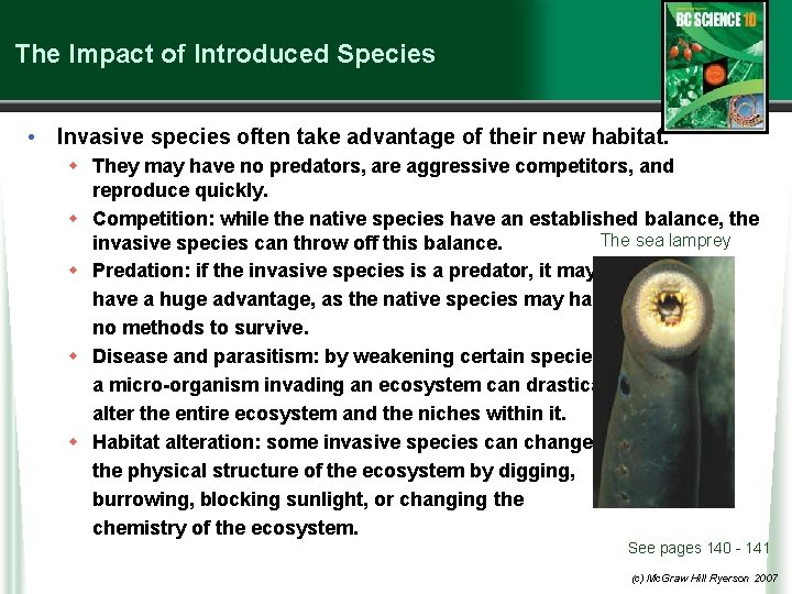 The Impact of Introduced Species • Invasive species often take advantage of their new