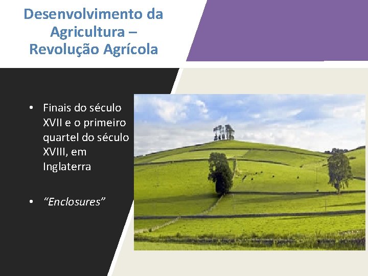 Desenvolvimento da Agricultura – Revolução Agrícola • Finais do século XVII e o primeiro