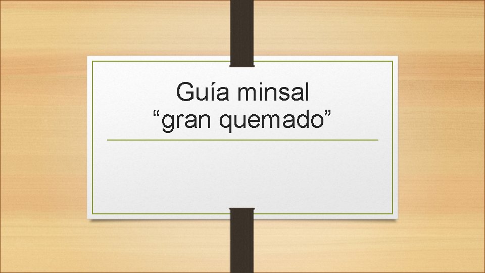 Guía minsal “gran quemado” 