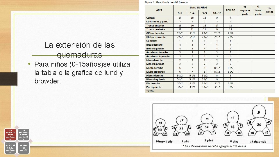 La extensión de las quemaduras • Para niños (0 -15 años)se utiliza la tabla