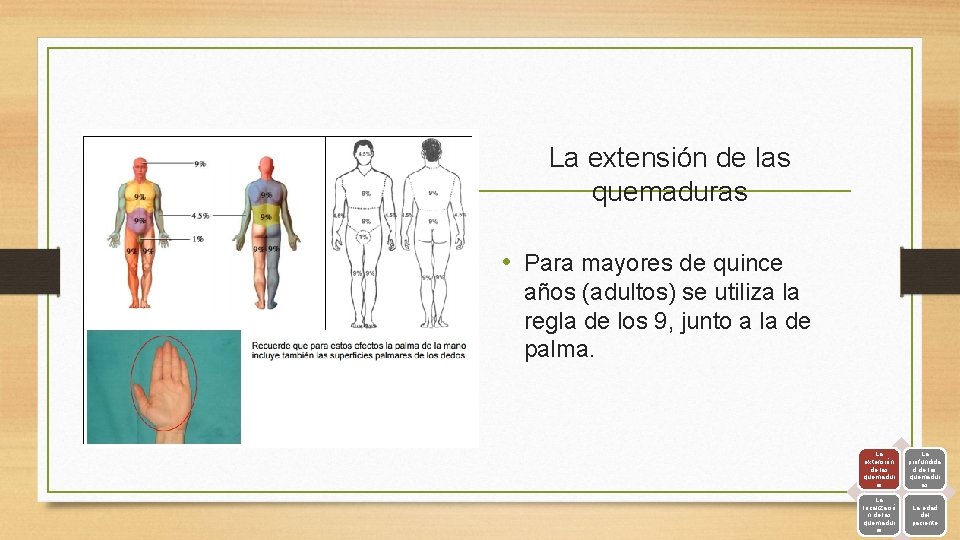 La extensión de las quemaduras • Para mayores de quince años (adultos) se utiliza