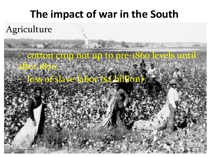 The impact of war in the South Agriculture 3. Agriculture - cotton crop notup