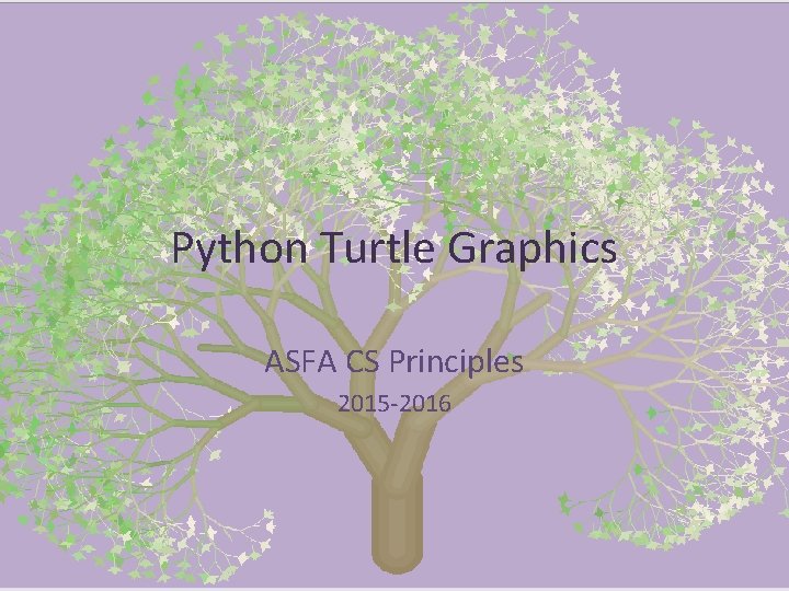 Python Turtle Graphics ASFA CS Principles 2015 -2016 