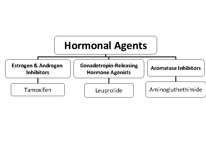 Hormonal Agents Estrogen & Androgen Inhibitors Gonadotropin-Releasing Hormone Agonists Aromatase Inhibitors Tamoxifen Leuprolide Aminogluthethimide