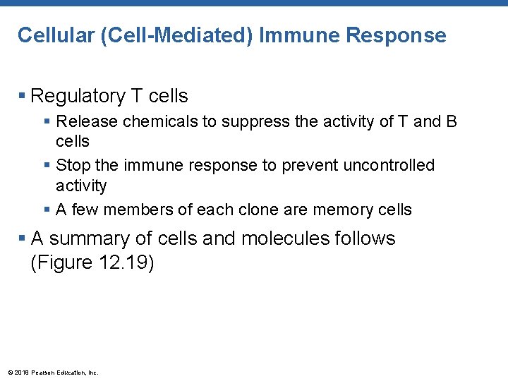 Cellular (Cell-Mediated) Immune Response § Regulatory T cells § Release chemicals to suppress the