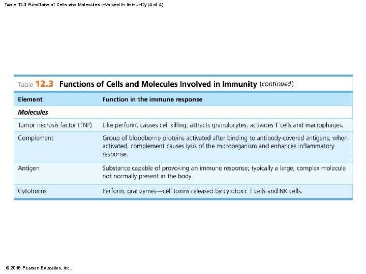 Table 12. 3 Functions of Cells and Molecules Involved in Immunity (4 of 4)