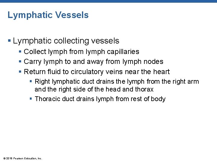 Lymphatic Vessels § Lymphatic collecting vessels § Collect lymph from lymph capillaries § Carry
