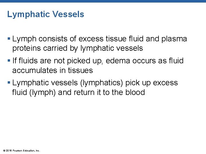 Lymphatic Vessels § Lymph consists of excess tissue fluid and plasma proteins carried by