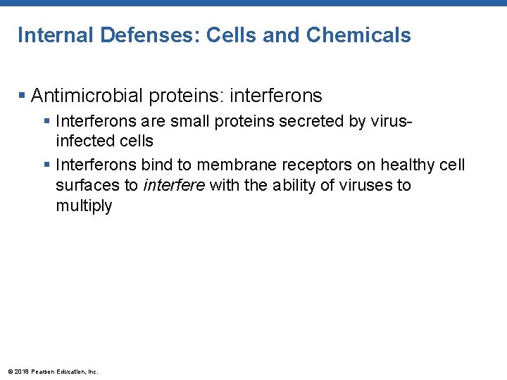 Internal Defenses: Cells and Chemicals § Antimicrobial proteins: interferons § Interferons are small proteins