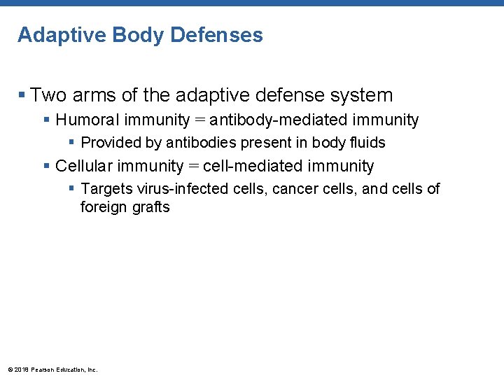Adaptive Body Defenses § Two arms of the adaptive defense system § Humoral immunity