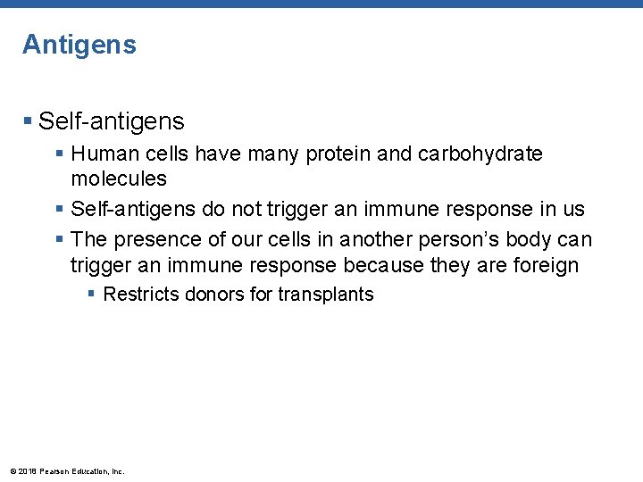Antigens § Self-antigens § Human cells have many protein and carbohydrate molecules § Self-antigens