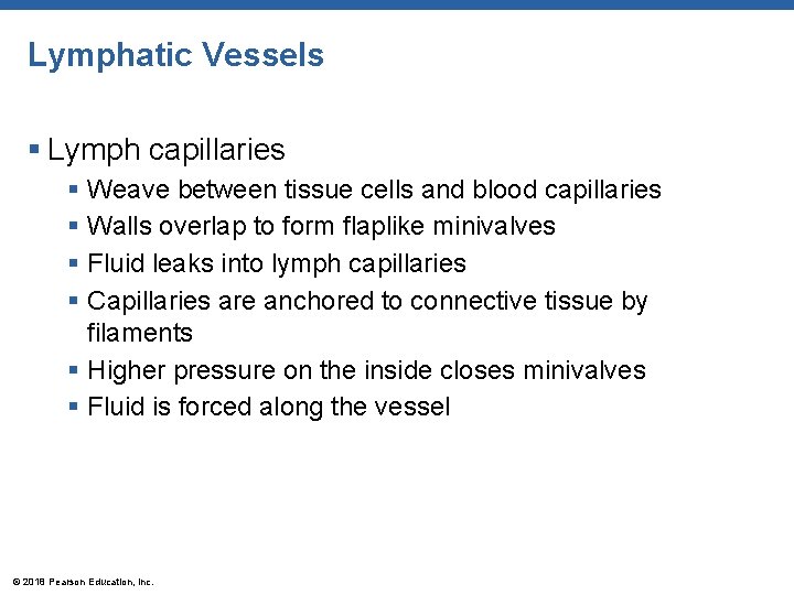 Lymphatic Vessels § Lymph capillaries § Weave between tissue cells and blood capillaries §