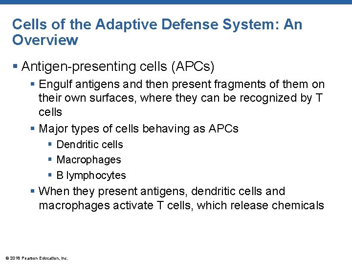 Cells of the Adaptive Defense System: An Overview § Antigen-presenting cells (APCs) § Engulf