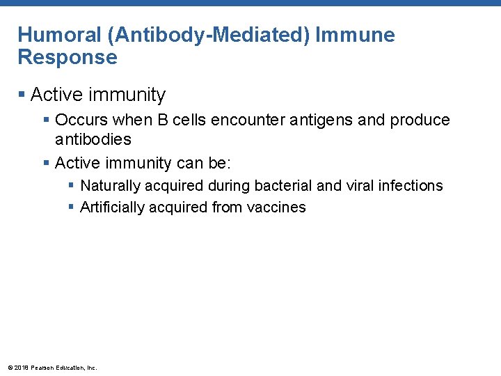 Humoral (Antibody-Mediated) Immune Response § Active immunity § Occurs when B cells encounter antigens