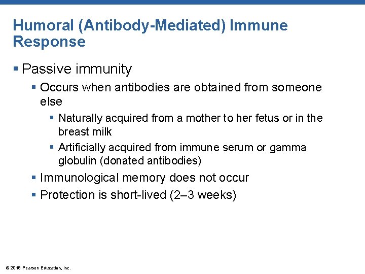 Humoral (Antibody-Mediated) Immune Response § Passive immunity § Occurs when antibodies are obtained from