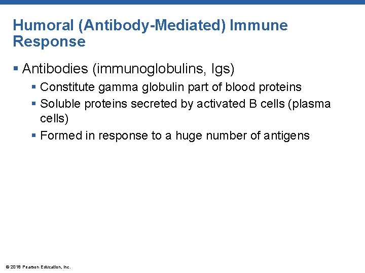 Humoral (Antibody-Mediated) Immune Response § Antibodies (immunoglobulins, Igs) § Constitute gamma globulin part of