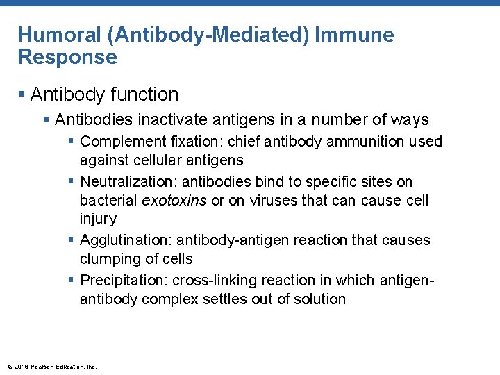 Humoral (Antibody-Mediated) Immune Response § Antibody function § Antibodies inactivate antigens in a number