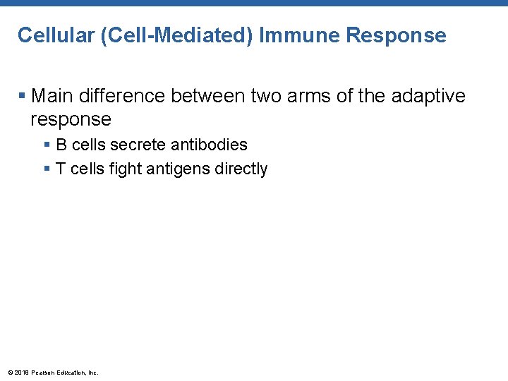 Cellular (Cell-Mediated) Immune Response § Main difference between two arms of the adaptive response