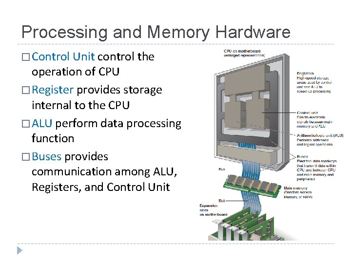 Processing and Memory Hardware � Control Unit control the operation of CPU � Register
