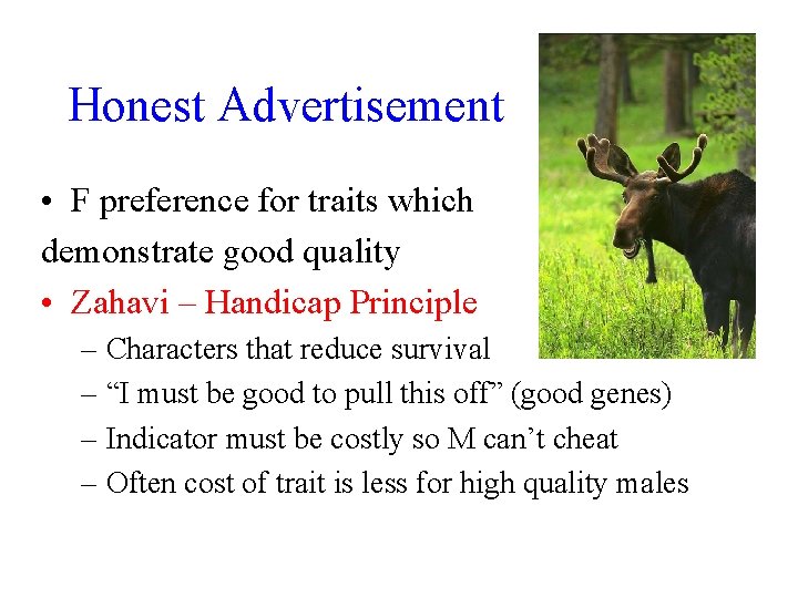 Honest Advertisement • F preference for traits which demonstrate good quality • Zahavi –