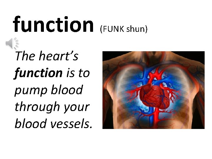 function The heart’s function is to pump blood through your blood vessels. (FUNK shun)