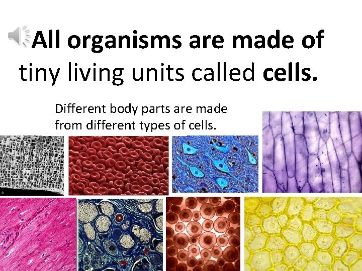 All organisms are made of tiny living units called cells. Different body parts are